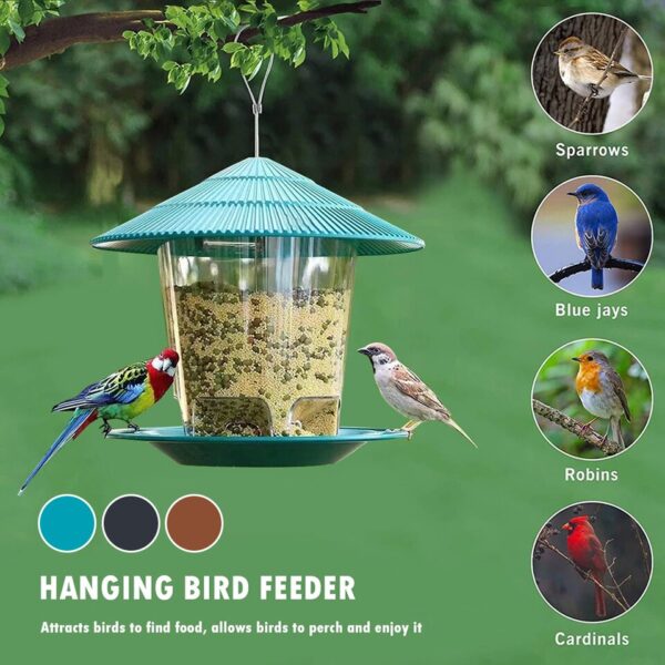 Automatic Bird Feeder - Image 6