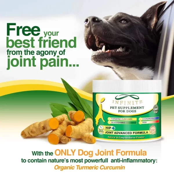 Pet Hip+Joint Advanced for Dogs (Powder), 90 Servings Dog Hip and Joint Supplements Pet Products - Image 3