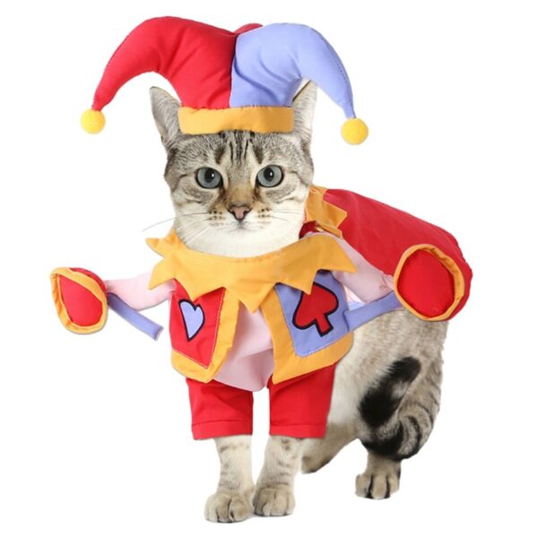 Cat Joker Costume